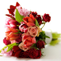 Trends and Seasonal Flowers