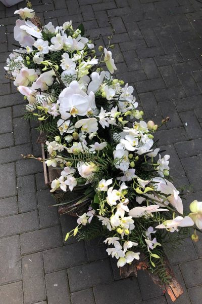 Funeral tribute floral spray with orchids