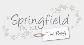 Springfield Florist Blog