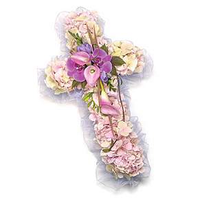 Hydrangea cross