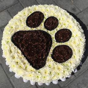 Paw Print Posy pad