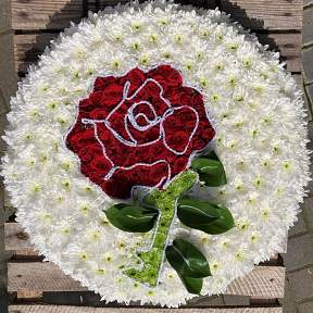 English Rose tribute
