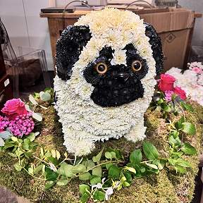 Pug tribute