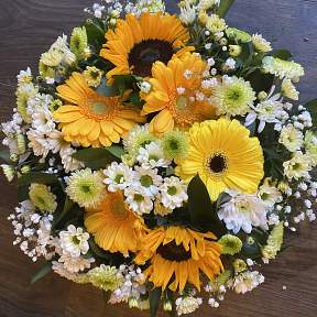 Yellow Posy