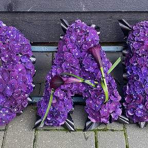 Hydrangea DAD tribute