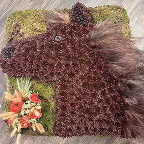 Horse head