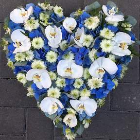 Blue and white heart