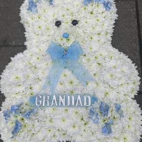 2D teddy tribute
