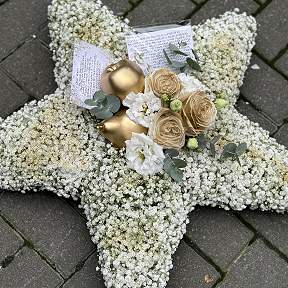 Bespoke star tribute