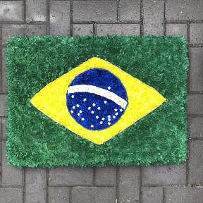 Brazilian Flag