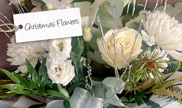 Christmas Flowers